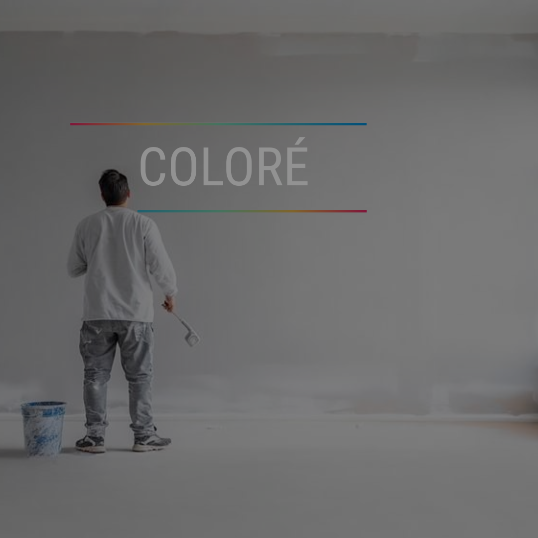 Website design for painting company in Montreal, Quebec.